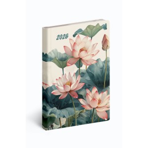 Fiestina B/6 zsebnaptr